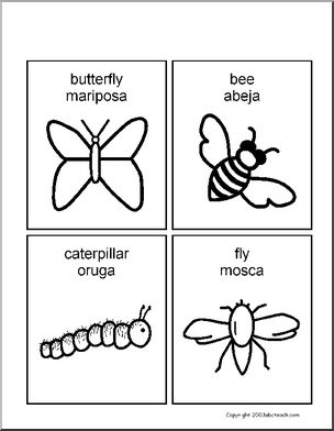 Spanish Flashcards: Animals