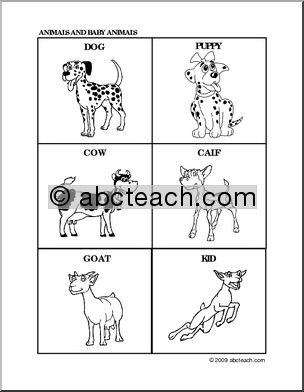 Flashcards: Animals and Animal Babies