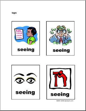 Flashcards: Senses – Sight