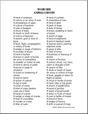 Animal Groups List