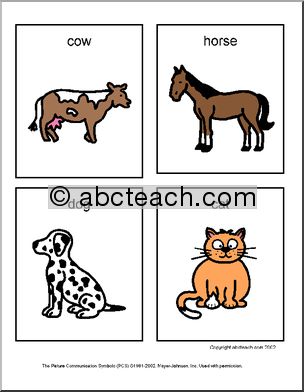 Flashcards: Mammals