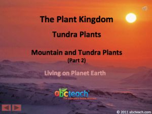 PowerPoint: Presentation with Audio: Plant Kingdom 13: Tundra Plants, Mountain and Tundra Plants Part 2:2 (upper elem/middle/high)