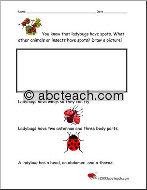 Comprehension: Ladybugs (primary)