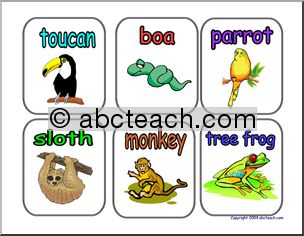 Word Wall: Animals (pictures) set 3