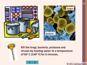 Slide Image