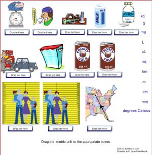 Math Metric System–Common Metric Units Interactive Notebook