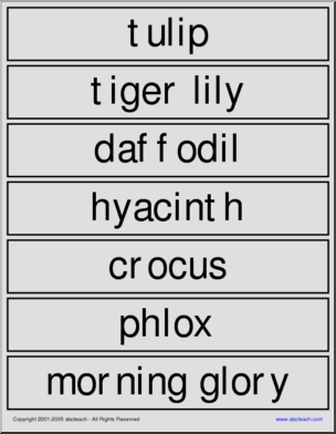Word Wall: Flowers