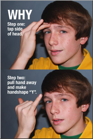 Photo: ASL Vocabulary: Why 01 LowRes