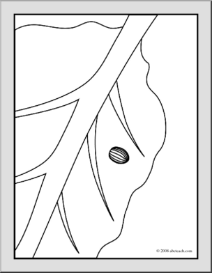 Clip Art: Butterfly: Monarch Egg (coloring page)