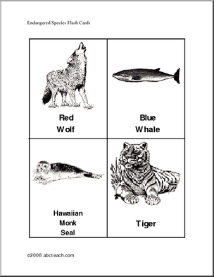 Flashcards: Endangered Animals (elem/upper elem)