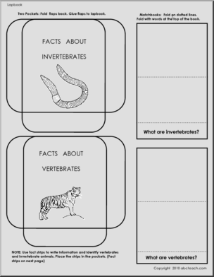 Lapbook: Life Cycles (elem)