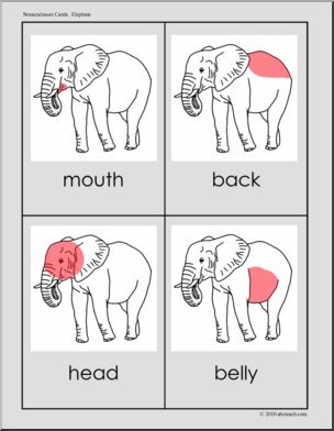 Nomenclature: Animal Anatomy Elephant (red-highlight)
