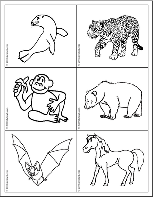 Science: Picture Cards: Vertebrate/Invertebrate (bw)