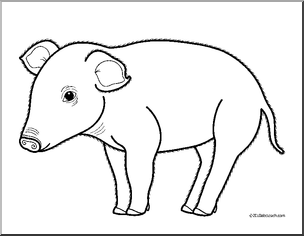 Clip Art: Baby Animals: Pig Piglet (coloring page)