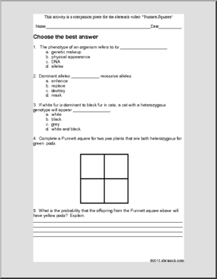 Punnett Squares (Quiz for Video)