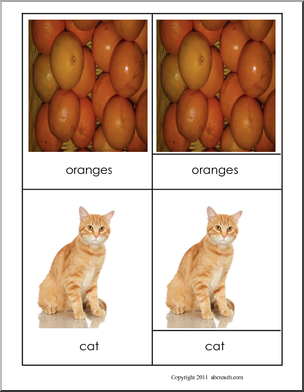 Montessori: Three-Part Matching Cards: Secondary Colors