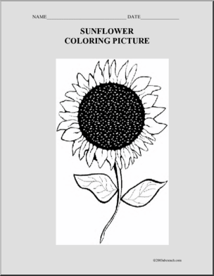 Coloring Page: Sunflower