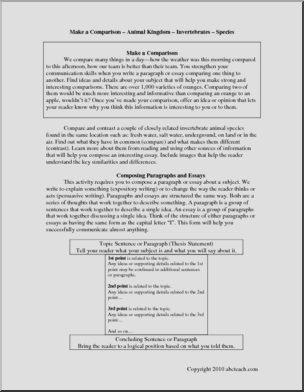 Writing: Make a Comparison of Invertebrate Species (middle/high)