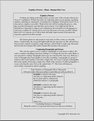 Explain the Process – Banana Fiber Products are Made (middle/high) Writing